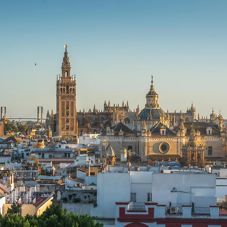 Manzana Seville